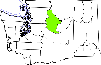 washington fire, washington firefighters, wa firefighters, wa fire, washington fire department, chelan county, chelan county ems, chelan county fire apparatus, chelan county fire departments