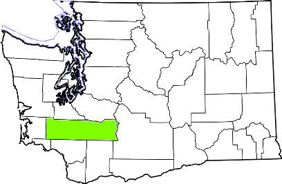 washington fire, washington firefighters, wa firefighters, wa fire, washington fire department, lewis county, lewis county ems, lewis county fire apparatus, lewis county fire departments