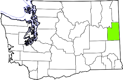 washington fire, washington firefighters, wa firefighters, wa fire, washington fire department, spokane county, spokane county ems, spokane county fire apparatus, spokane county fire departments