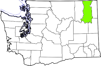 washington fire, washington firefighters, wa firefighters, wa fire, washington fire department, stevens county, stevens county ems, stevens county fire apparatus, stevens county fire departments